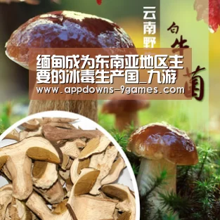 九游官网入口地址