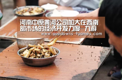 九游官网入口地址